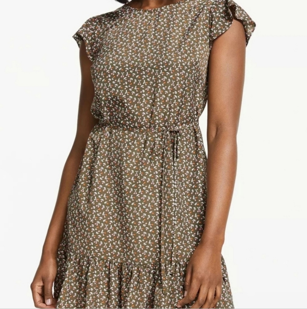 Boden Cynthia brown cherry print mini dress - Picture 12 of 12